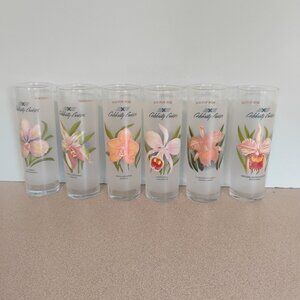 Celebrity Cruise Lines Frosted Orchid Glasses, set of 6